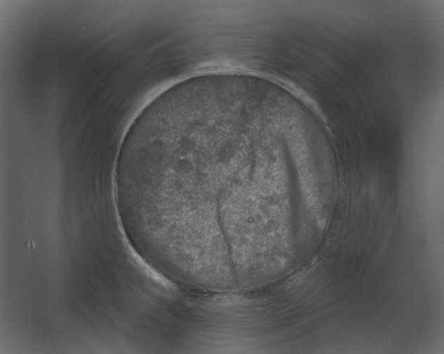 X0000067491239200604211651