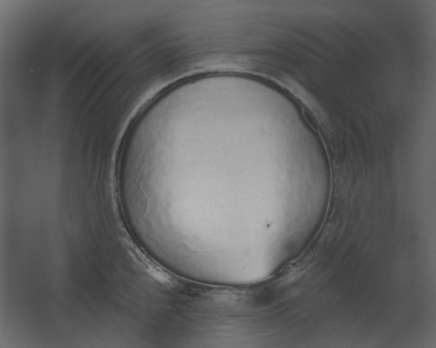 X0000067491240200604211651