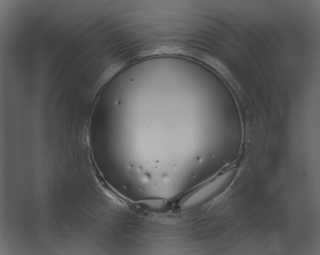 X0000067491241200604211651