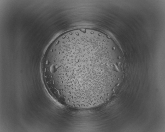 X0000067491243200604211651