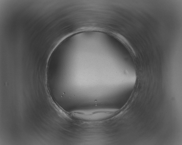 X0000067491244200604211651