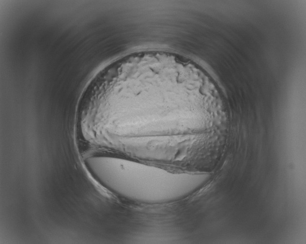 X0000067491245200604211651