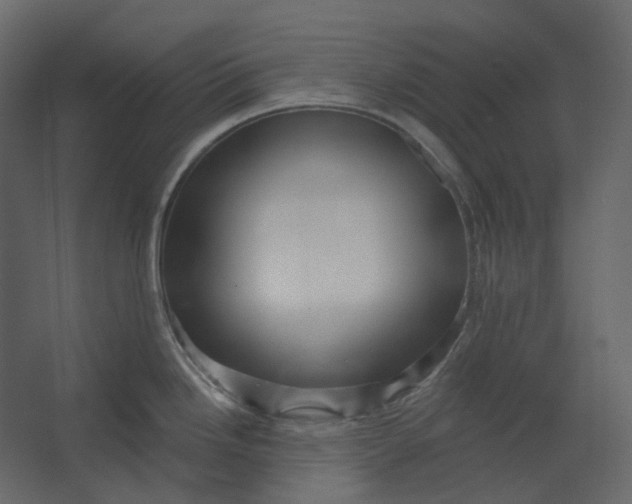 X0000067491246200604211651