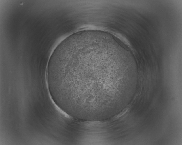 X0000067491247200604211651