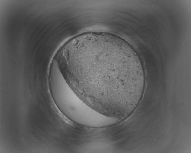 X0000067491248200604211651