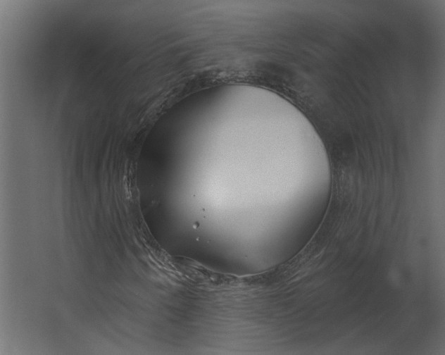 X0000067491250200604211650