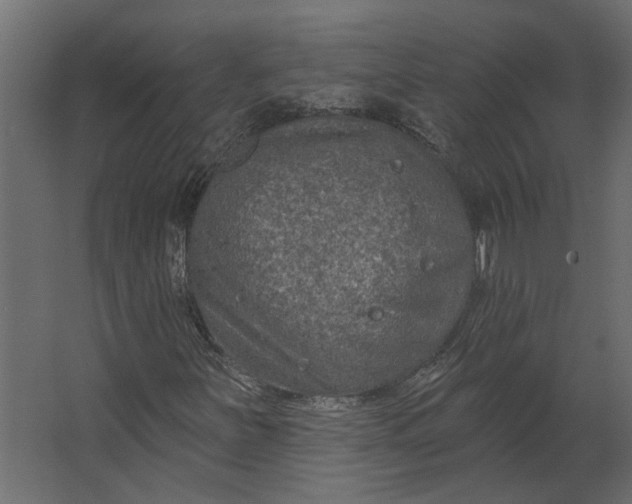 X0000067491251200604211650