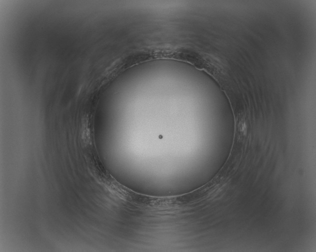 X0000067491252200604211650