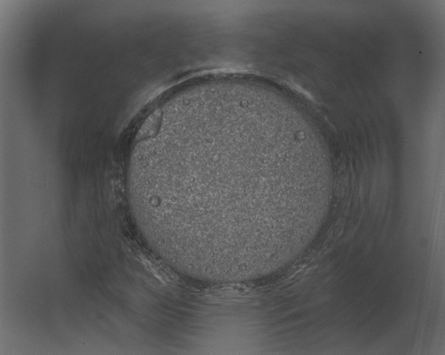 X0000067491255200604211650