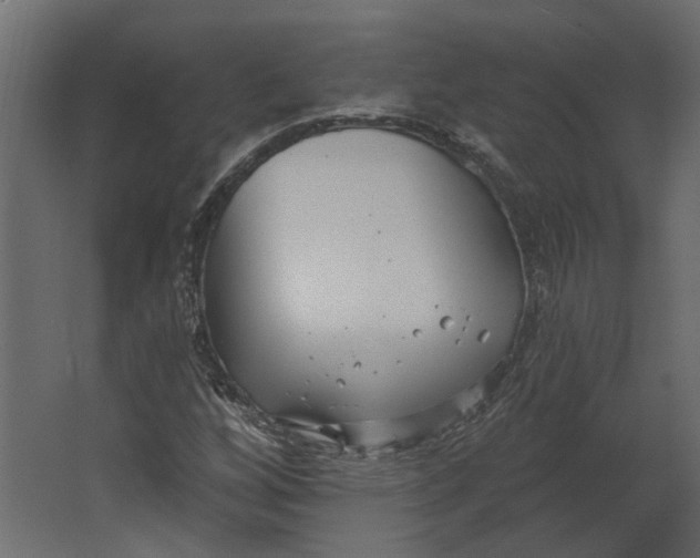 X0000067491256200604211650