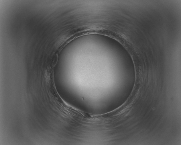 X0000067491257200604211650