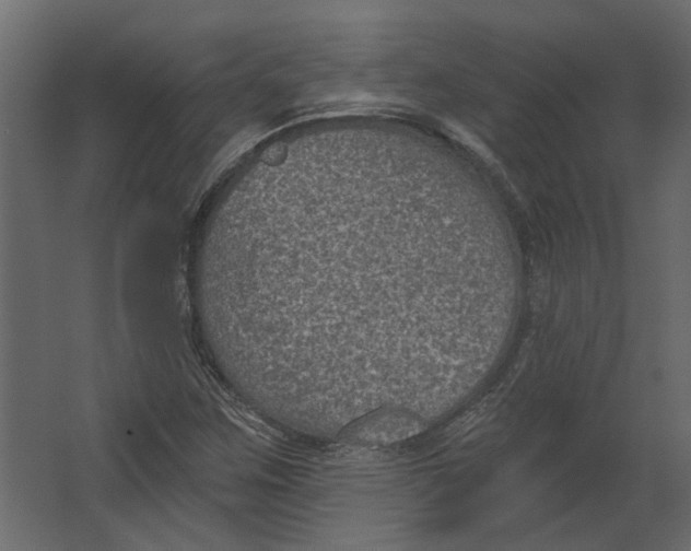 X0000067491259200604211650