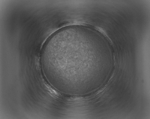 X0000067491260200604211650