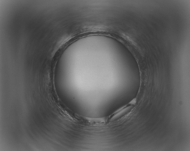 X0000067491261200604211650