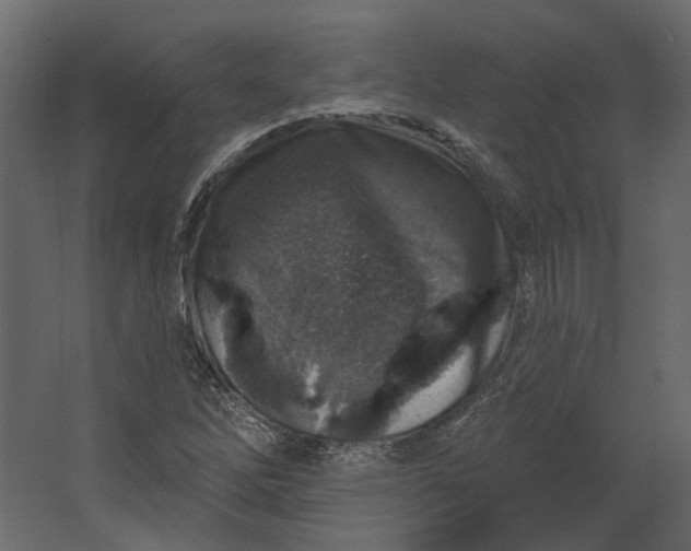 X0000067491262200604211650