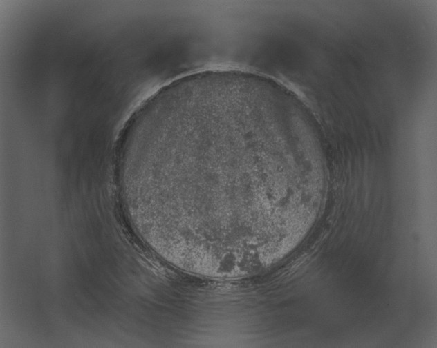 X0000067491263200604211650