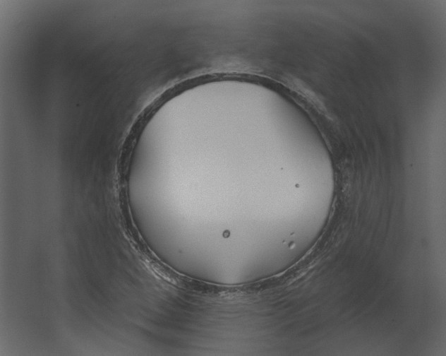 X0000067491264200604211650