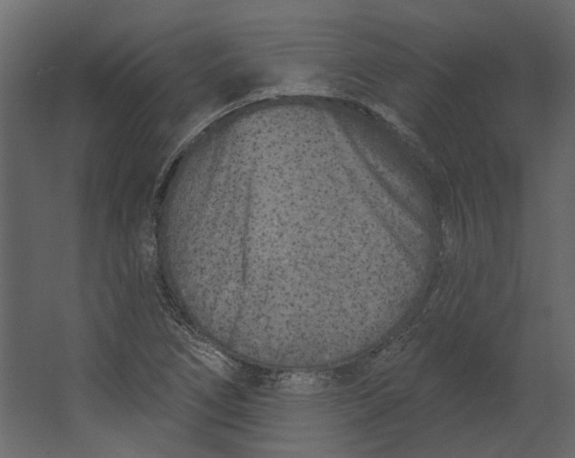 X0000067491266200604211650