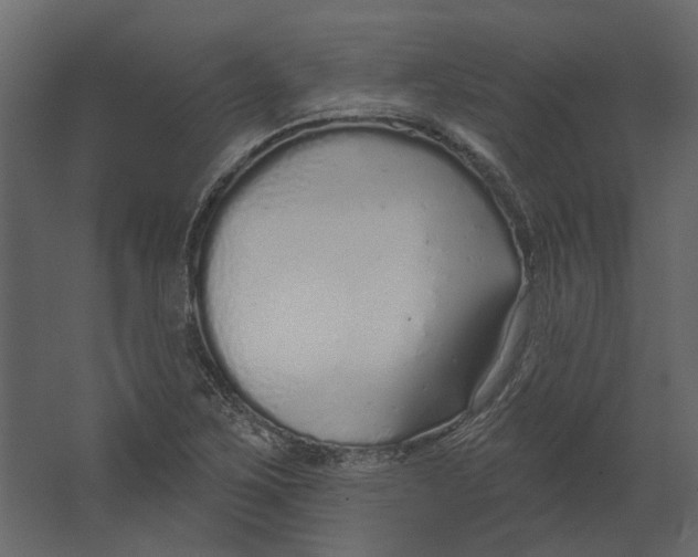 X0000067491267200604211650