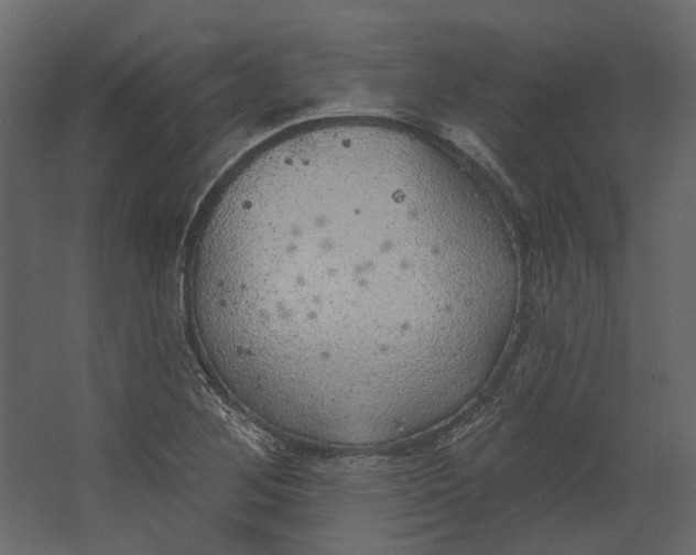 X0000067491268200604211650