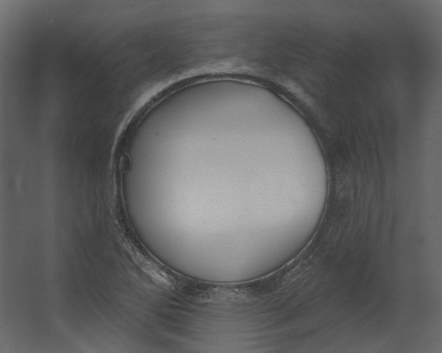 X0000067491270200604211649