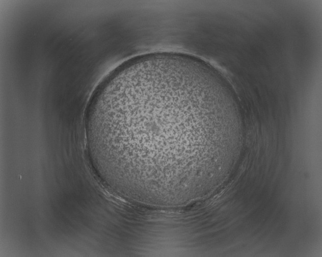 X0000067491271200604211649