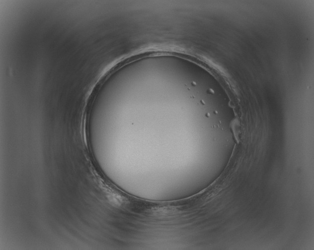 X0000067491272200604211649