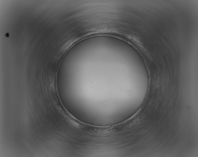 X0000067491273200604211649