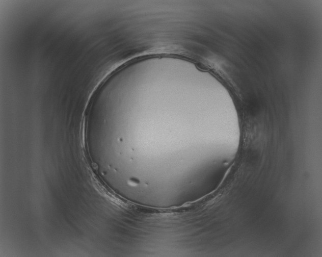 X0000067491276200604211649