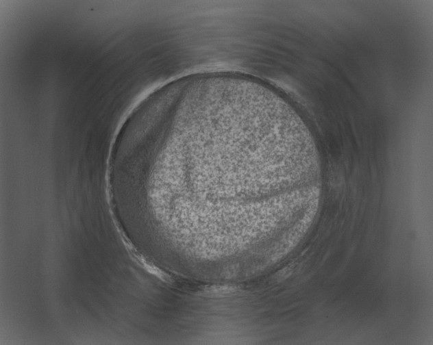 X0000067491278200604211649