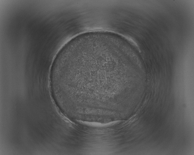 X0000067491279200604211649