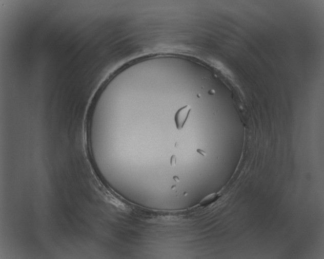 X0000067491280200604211649