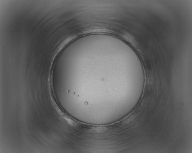 X0000067491282200604211649