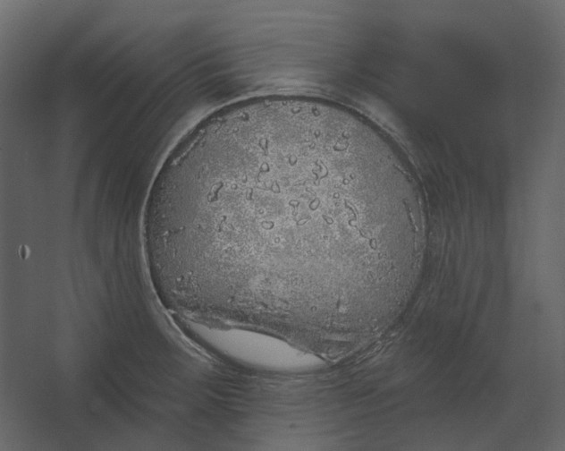 X0000067491283200604211649