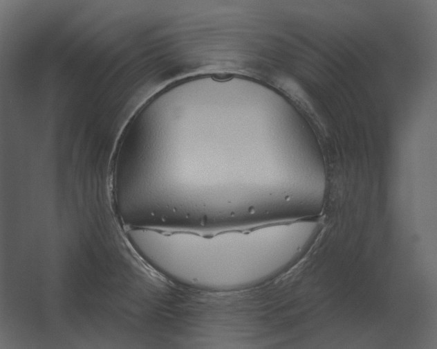 X0000067491284200604211649