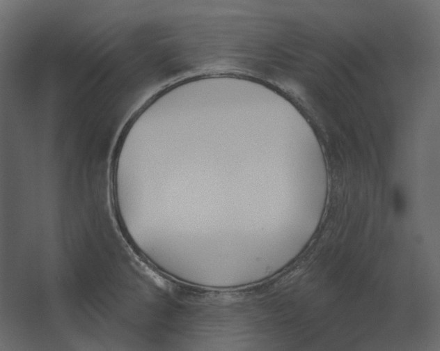 X0000067491286200604211649