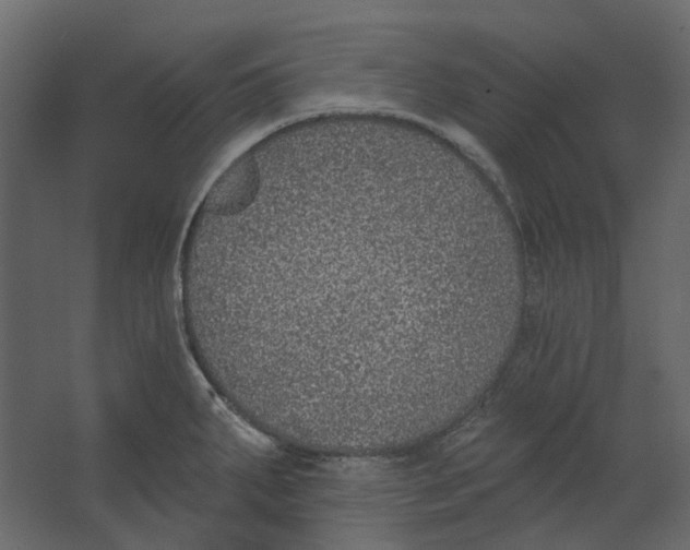 X0000067491287200604211649