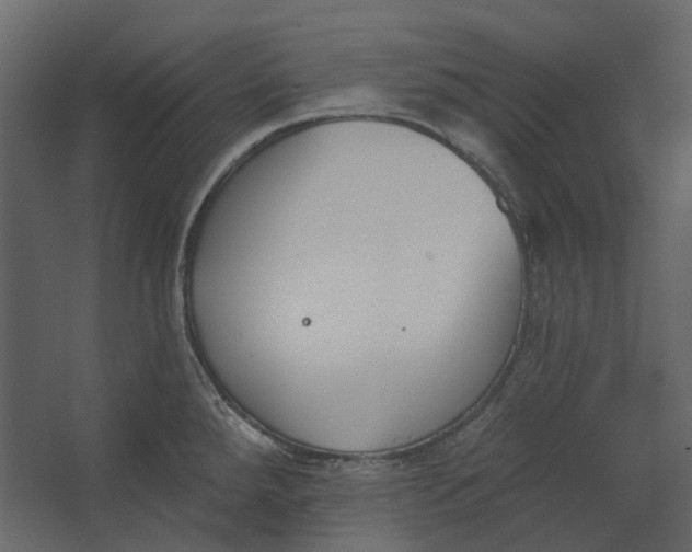 X0000067491288200604211649