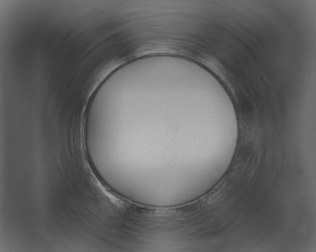 X0000067491290200604211649