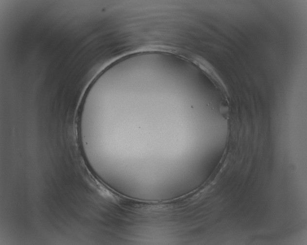 X0000067491292200604211649