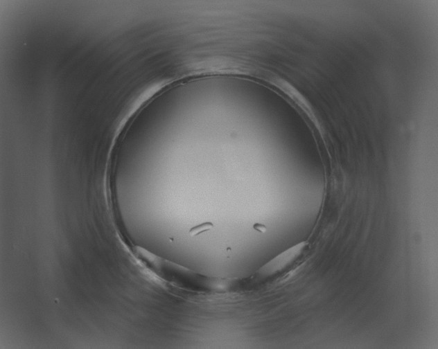 X0000067491293200604211649