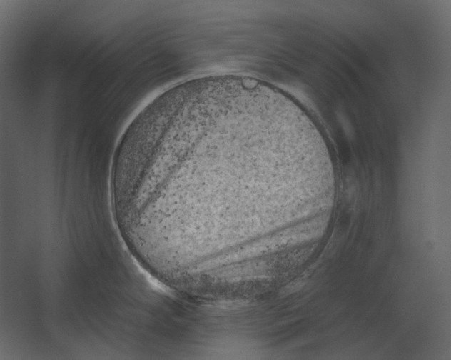 X0000067491294200604211649