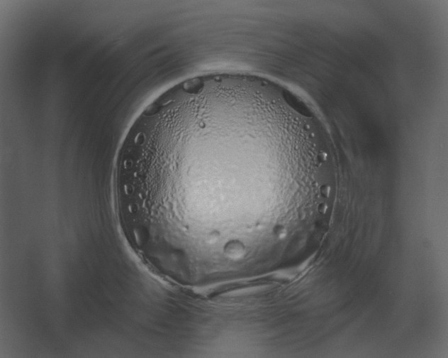 X0000067491295200604211649