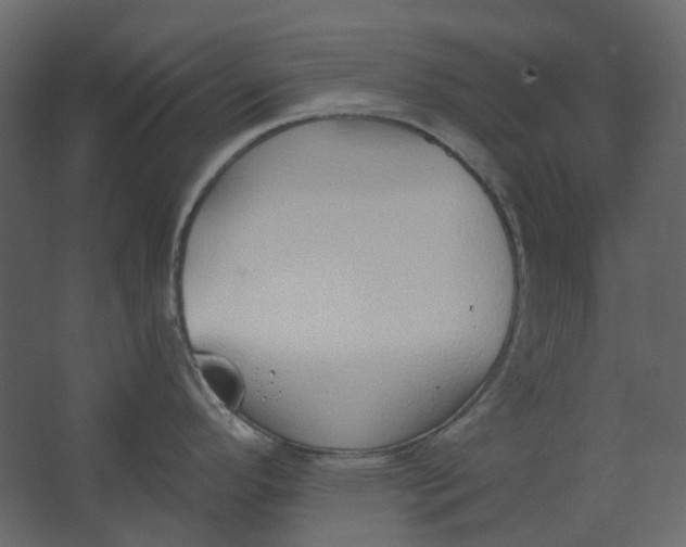 X0000067491296200604211649