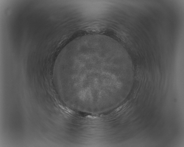 X0000067491297200604211648