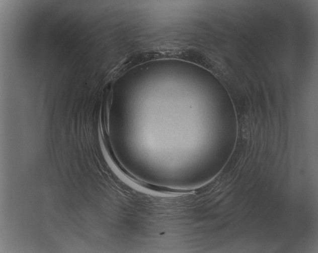 X0000067491298200604211648