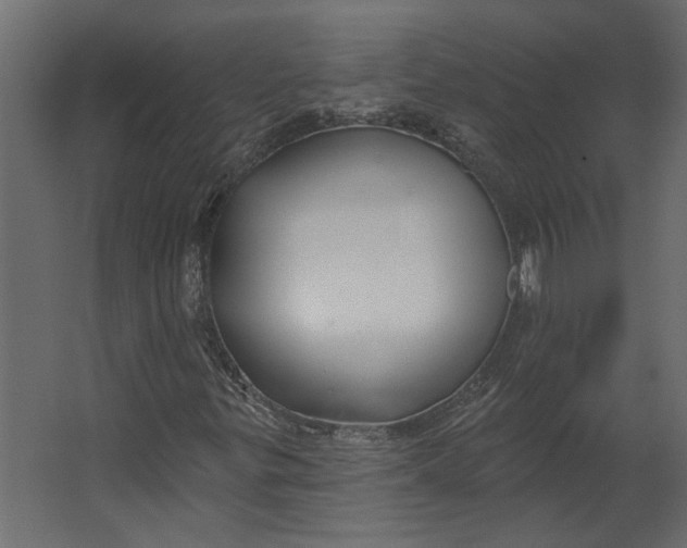 X0000067491299200604211648