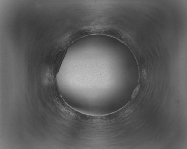 X0000067491300200604211648