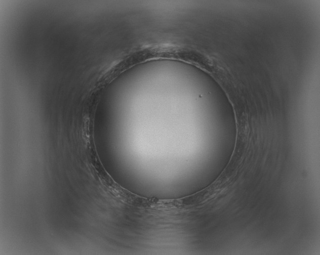 X0000067491301200604211648