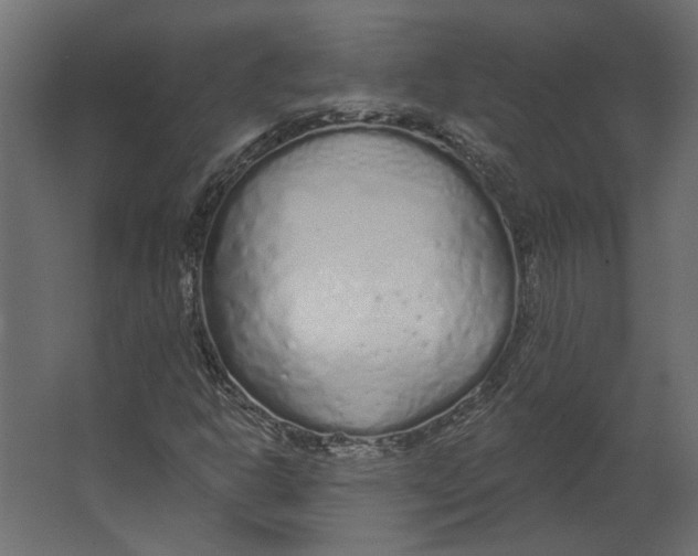 X0000067491302200604211648